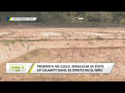 Regional TV News: 6 na baka sa Iloilo, namatay dahil sa matinding init