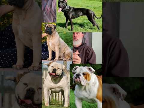 Charter Arms Bulldog - Good or Garbage? #wheelgun 