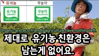 돈이 되는 유기농ㆍ 친환경 농업이 어디 있더나? Organic and eco-friendly agricult…
