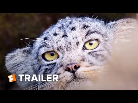 The Velvet Queen Trailer #1 (2021) | Movieclips Indie