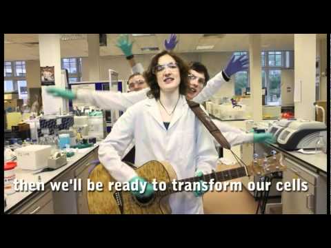 The Gibson Assembly Song