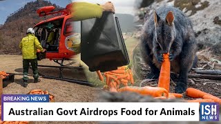 Australian Govt Airdrops Food for Animals