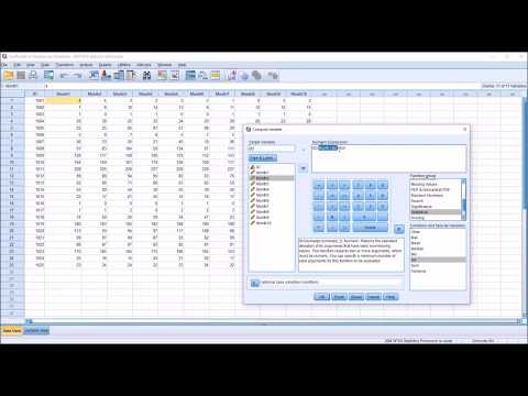 Berechnen und Verstehen des Variationskoeffizienten (COV) in SPSS