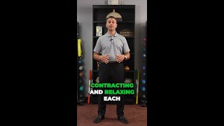 Download lagu Unwind & De-stress! β¨ Master Progressive Muscle Relaxation π€© π« mp3 Download lagu Unwind & De-stress! β¨ Master Progressive Muscle Relaxation π€© π« mp3