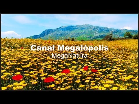 EUROPA (El Despertar de la Naturaleza) 2