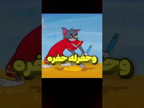 توم حفر حفره😂