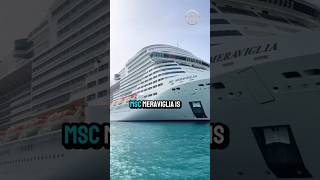 MSC Meraviglia: The Floating City That Cruises to Multiple Countries #usashorts #sea #cruiselife