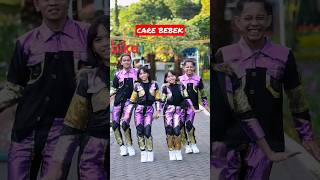 Download lagu care bebek wek wek #carebebek mp3
