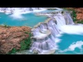 WES - Alane HD 