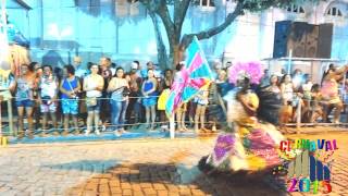 preview picture of video 'Carnaval 2015 em Cataguases - Desfile da Dragões da Vila Reis (Domingo 15/022015)'
