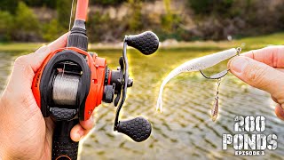 Fishing The SKUNK BUSTER... But With A TWIST! (200 Ponds Ep. 3)