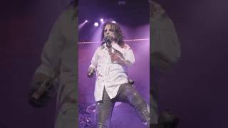 Roses On White Lace Live