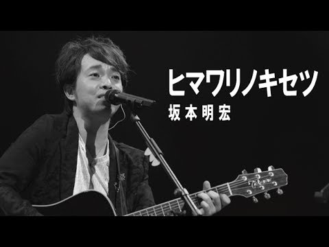 ヒマワリノキセツ