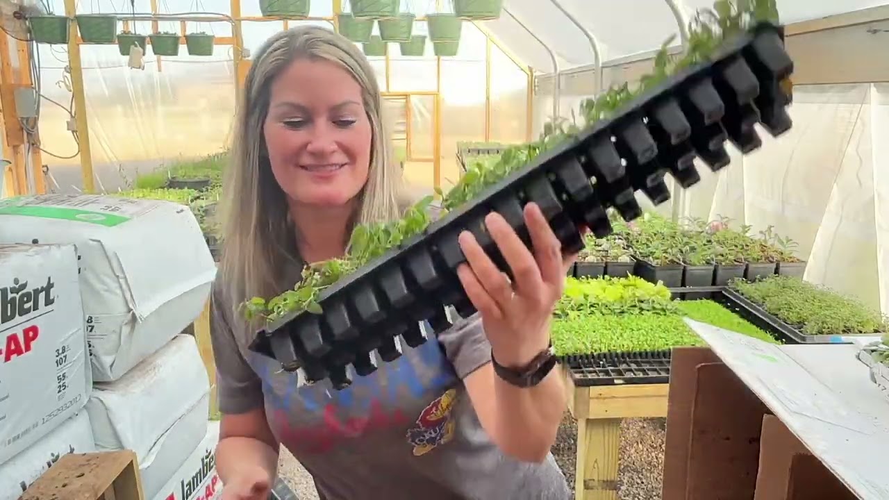 Greenhouse Plug Unboxing + Nursery Tour  | Spring Plants & Seedlings (Zone 7A Kansas)