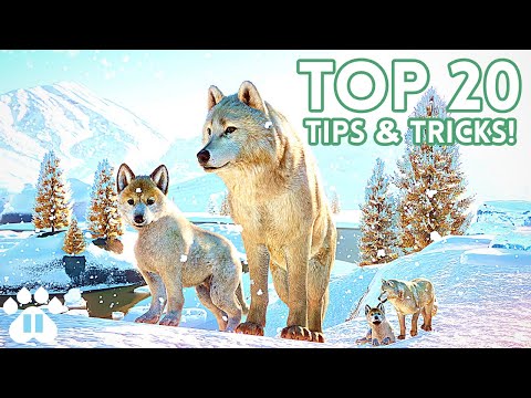 Top 20 Tips & Tricks in Planet Zoo