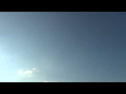 Weston Mini Velocity Electric