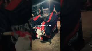 Download lagu LELO LELO LEDUNG#bantengan #barongan #jaranan #videoshorts #kudalumping mp3