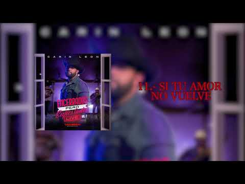 11.- SI TU AMOR NO VUELVE - CARIN LEON (vol.2)