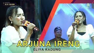 Download lagu ARJUNA IRENG - ELIYA KADUNG, GOYANGE PANTURA 'ULFA TANJUNG' || Gg.IBU SENGON - TANJUNG-BREBES mp3