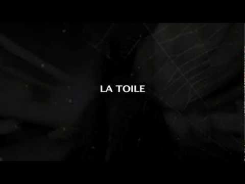 Laudy annonce " SPYDA SOUND SYSTEM "