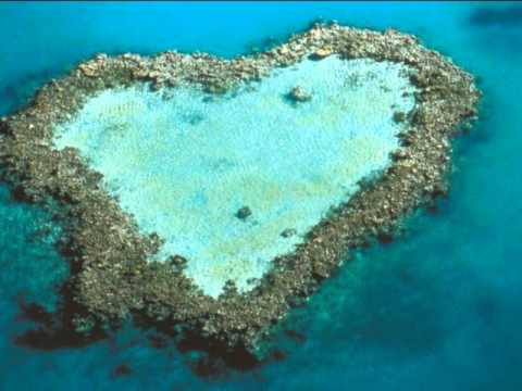 download lagu mp3 mp4 L Isola Felice, download mp3 L Isola Felice free download, download mp3 L Isola Felice