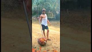 Download lagu Kalau siang nama ku Hesti kalau MLM herman 🤣 mp3