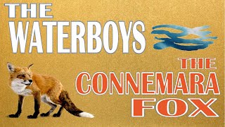 The Waterboys  The Connemara Fox