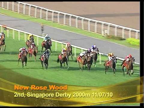 Longines Singapore Gold Cup 2010 Contenders (New Rose Wood)