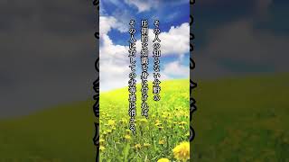 【HSPの私がメンタルを安定させるため】に心がけていること