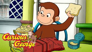 Nighttime Animals 🐵 Curious George 🐵 Kids Cartoon 🐵 Kids Movies
