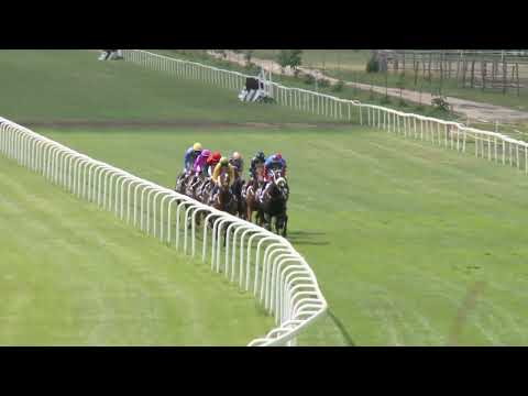 2022.06.04. 02. futam - OSTINATO HENDIKEP (Elit o.)