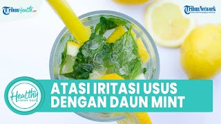 Cara Alami Atasi Iritasi Usus dengan Konsumsi Daun Mint, Inilah Manfaat untuk Kesehatan Tubuh