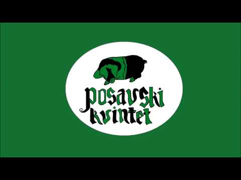 Posavski kvintet - Happily Single (Official video)