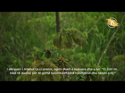 Ebu Hurejre (r.a) - Jete Sahabesh