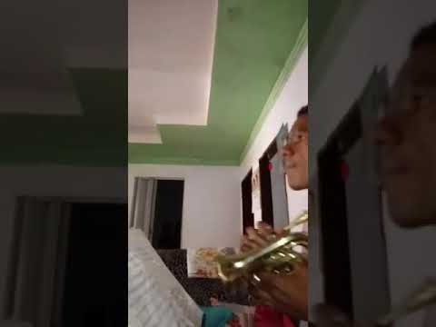 Dobrado verde e branco