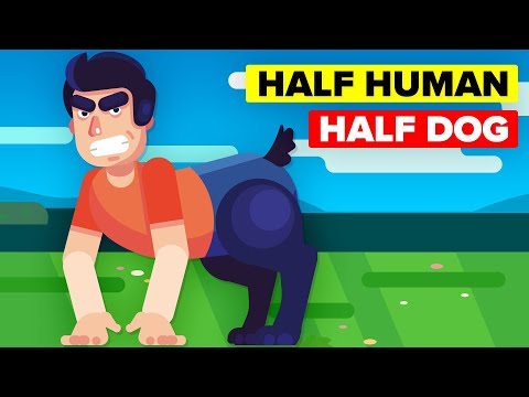 Why Do Animals Mate With Humans