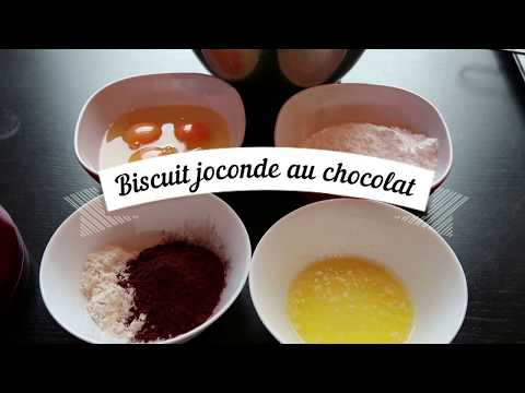 Biscuit joconde au chocolat (pour Entremet, Opéra, Bûche)