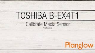 Automatic Calibration for Reflective Label Media
