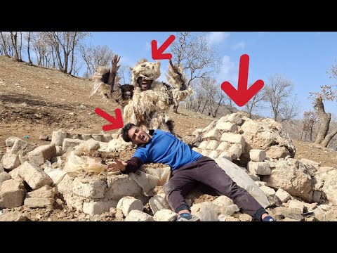 "The angry hands of the caveman: the heart of Bardia is calm"