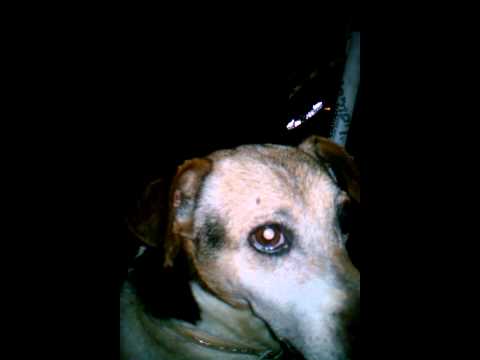 download lagu mp3 mp4 Jackrus, download lagu Jackrus gratis, unduh video klip Jackrus