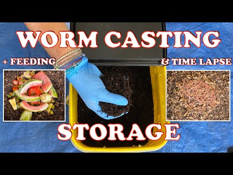 How To Store Worm Castings + Outdoor Worm Bin Feeding & Time Lapse | Vermicompost Worm Farm