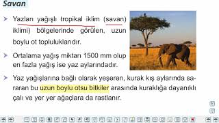 Eğitim Vadisi 10.Sınıf Coğrafya 11.Föy Yerkürenin Örtüsü 2 Konu Anlatım Videoları