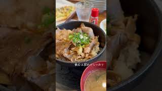 【沖縄観光】大宜味シークヮーサーパークのスイーツ絶品だった✨