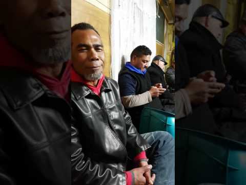 Kalapu Petani 'Oe Moui Nz 2016