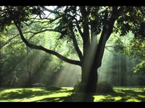 Klapa Kastav - Pod orehon