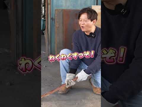 IUCN分類における絶滅の危険性を示す図。