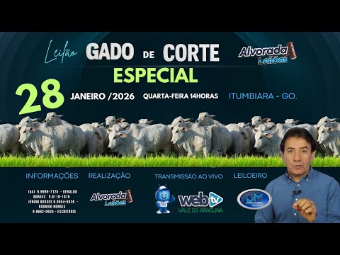 LEILÃO GADO DE CORTE ESPECIAL ALVORADA LEILÕES 28 JANEIRO QUARTA-FEIRA 14h ITUMBIARA GOIÁS