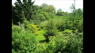 Whiskey Before Breakfast