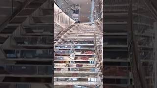 Cruise Ship Interia #cruise ##ship #intertainment #tour #holiday #filipino #msc