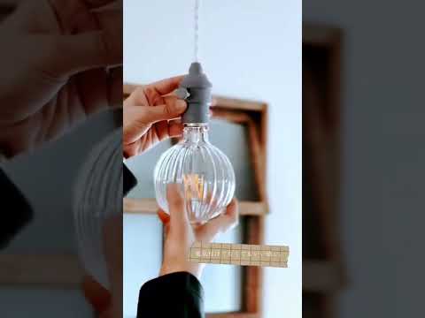 イスメネまたはヒメノカリス